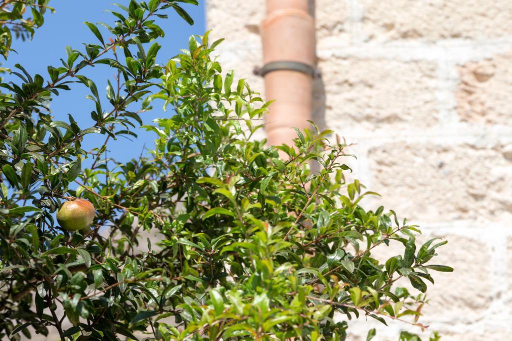 Aparthotel Il Borgo Del Principino Favignana Exteriér fotografie